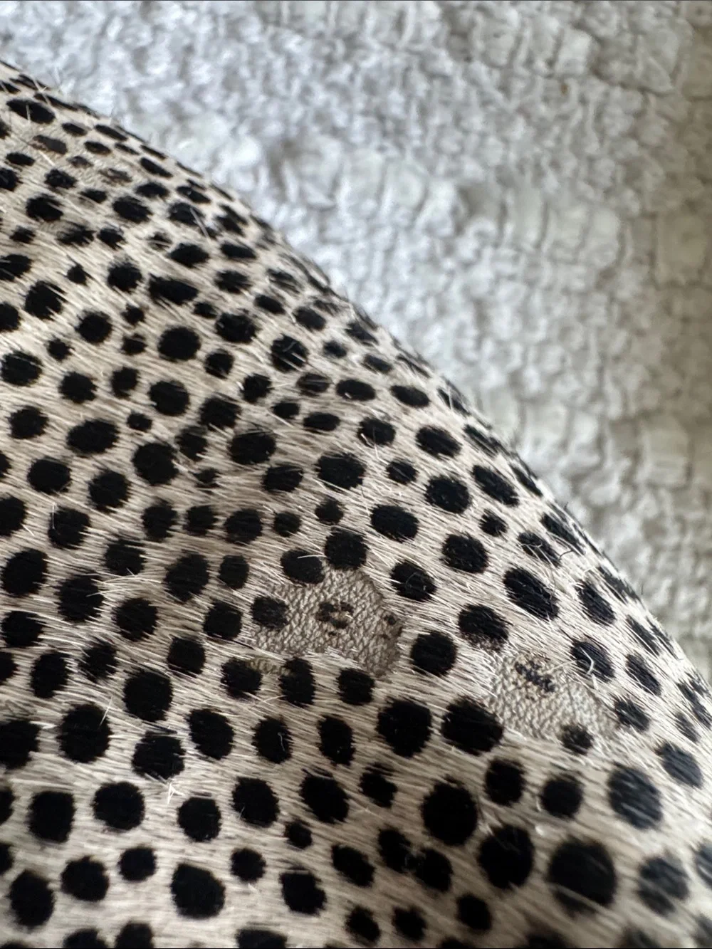 Madewell Remi Mules Spotted leopard Print Calf hair Size 8.5 - Picture 10 of 11